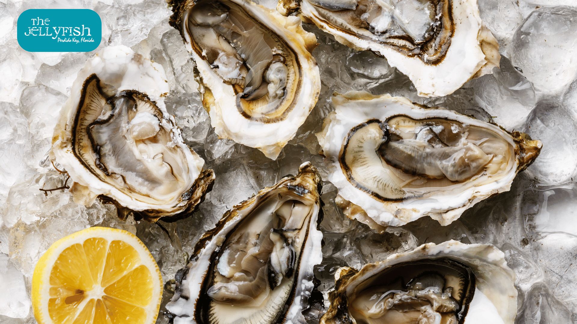 Raw Oysters - JellyFish Bar Perdido Key