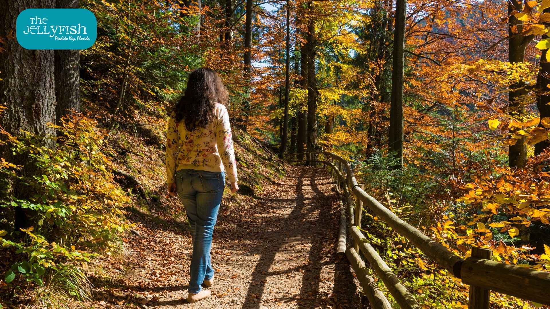 Go on a Nature Walk In the Perdido Key State Park