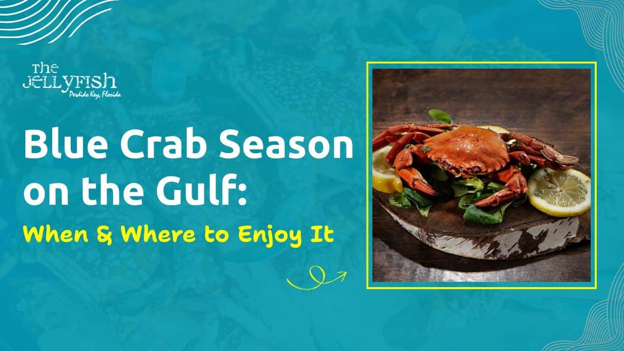 Blue Crab Season on the Gulf When & where to enjoy it