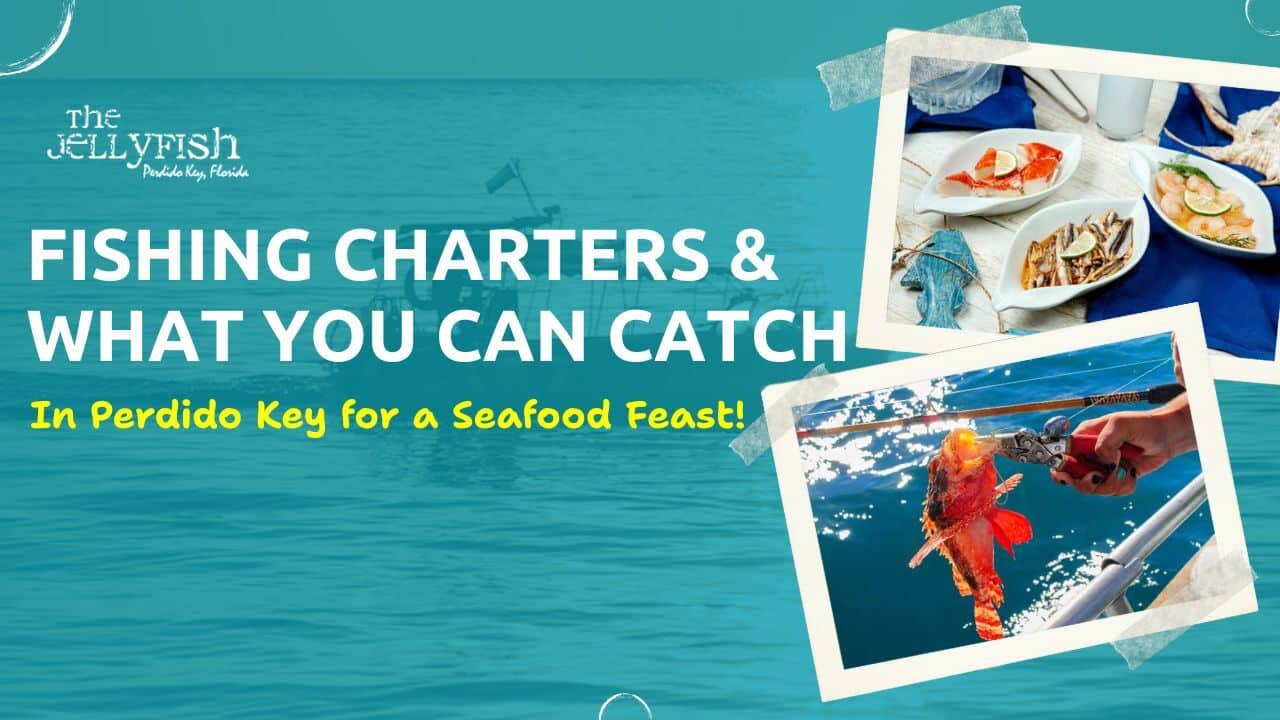 Fishing Charters & What You Can Catch in Perdido Key For a Seafood Feast!